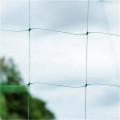 Green plastic trellis netting/green bird net